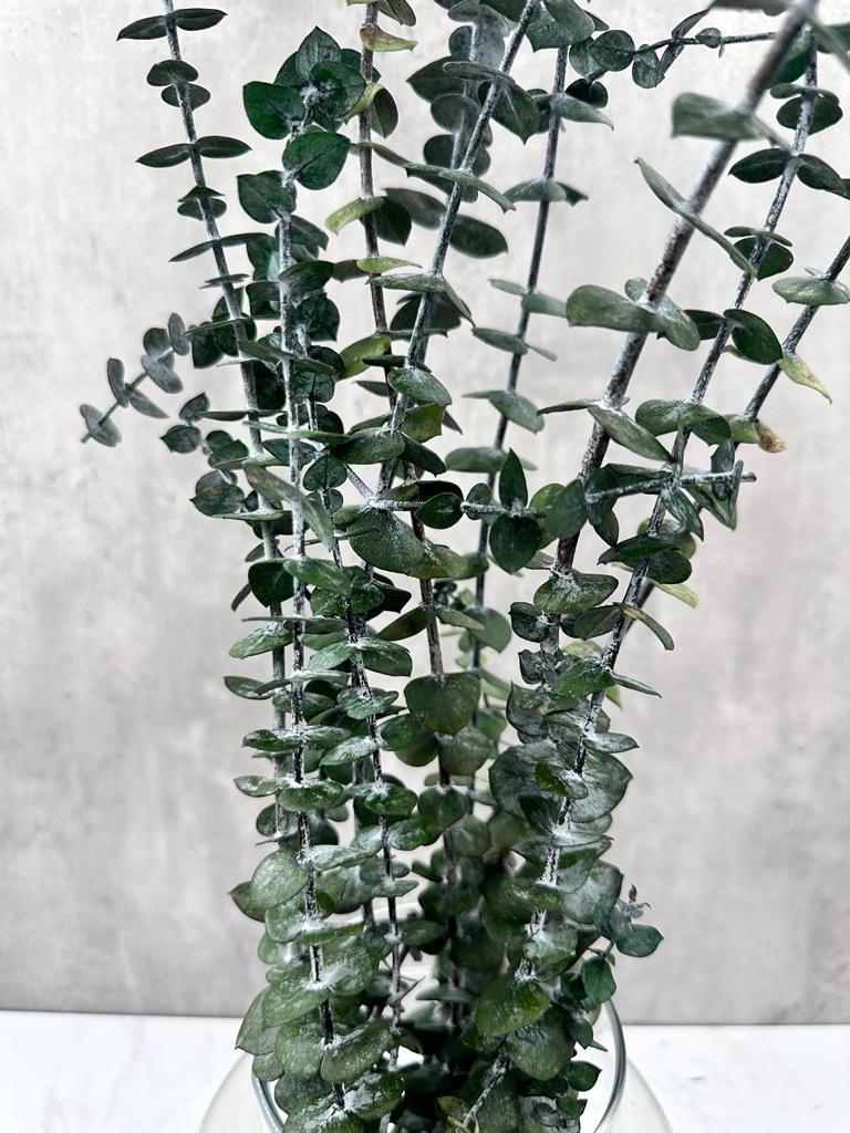Eucalipto Baby Press Verde