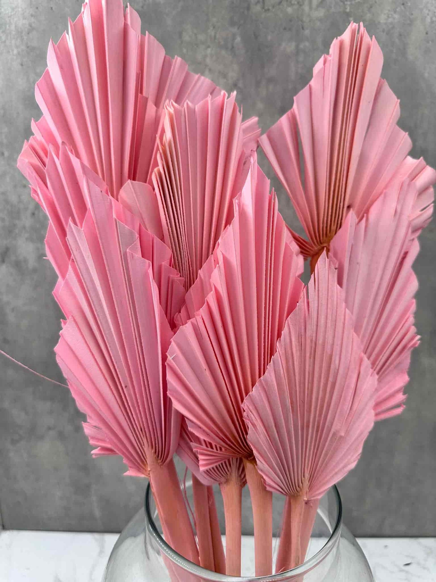 Palm Spear Rosa