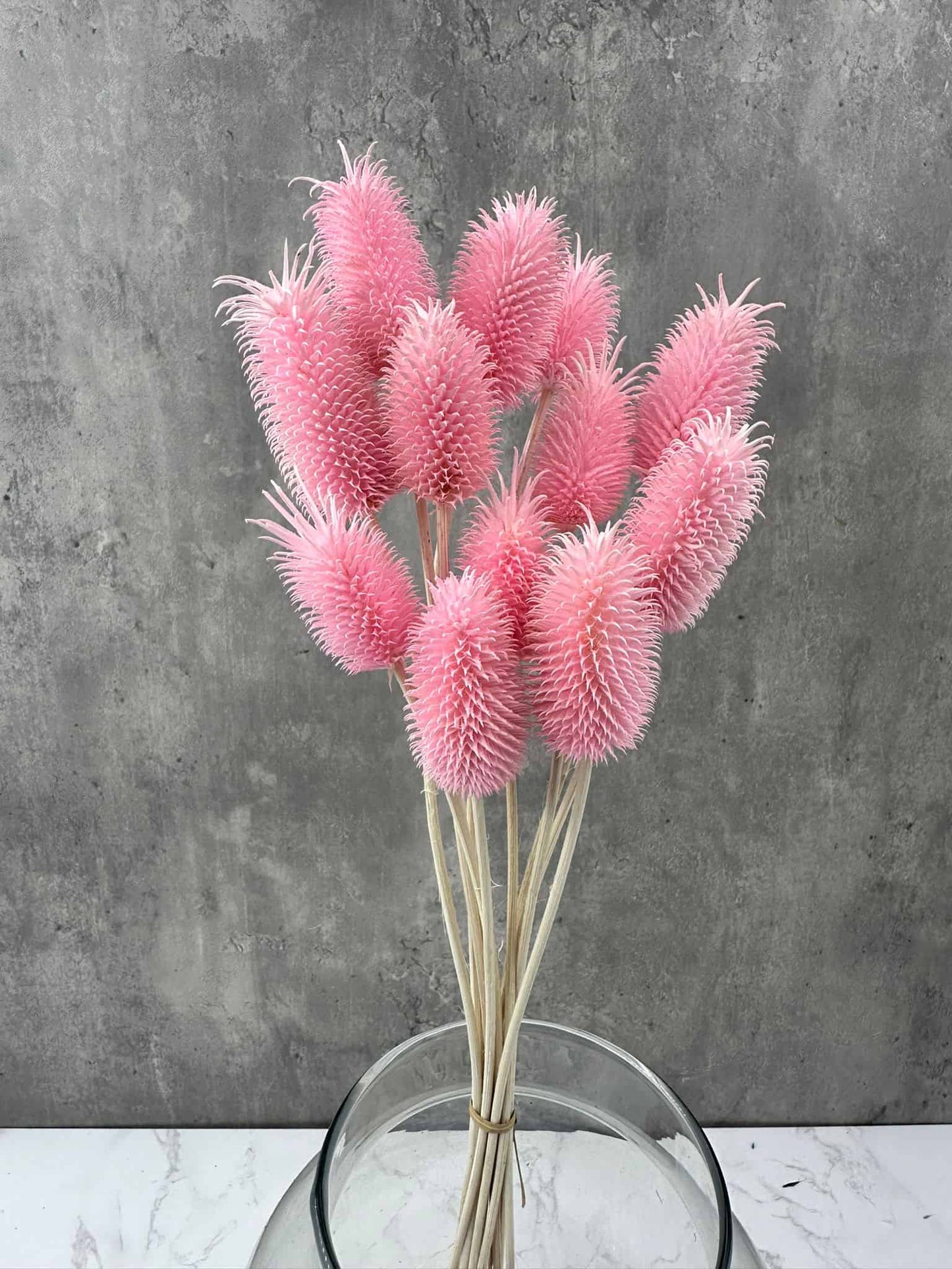 Cardo Mini Rosa