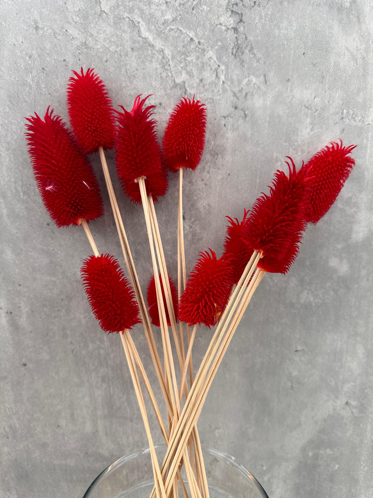 Cardo Mini Rojo