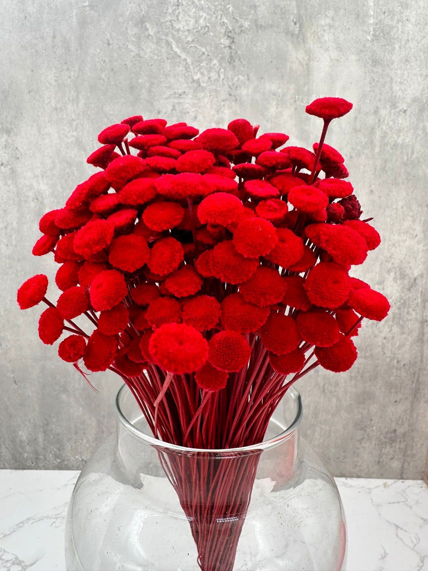 Botao Seco Rojo