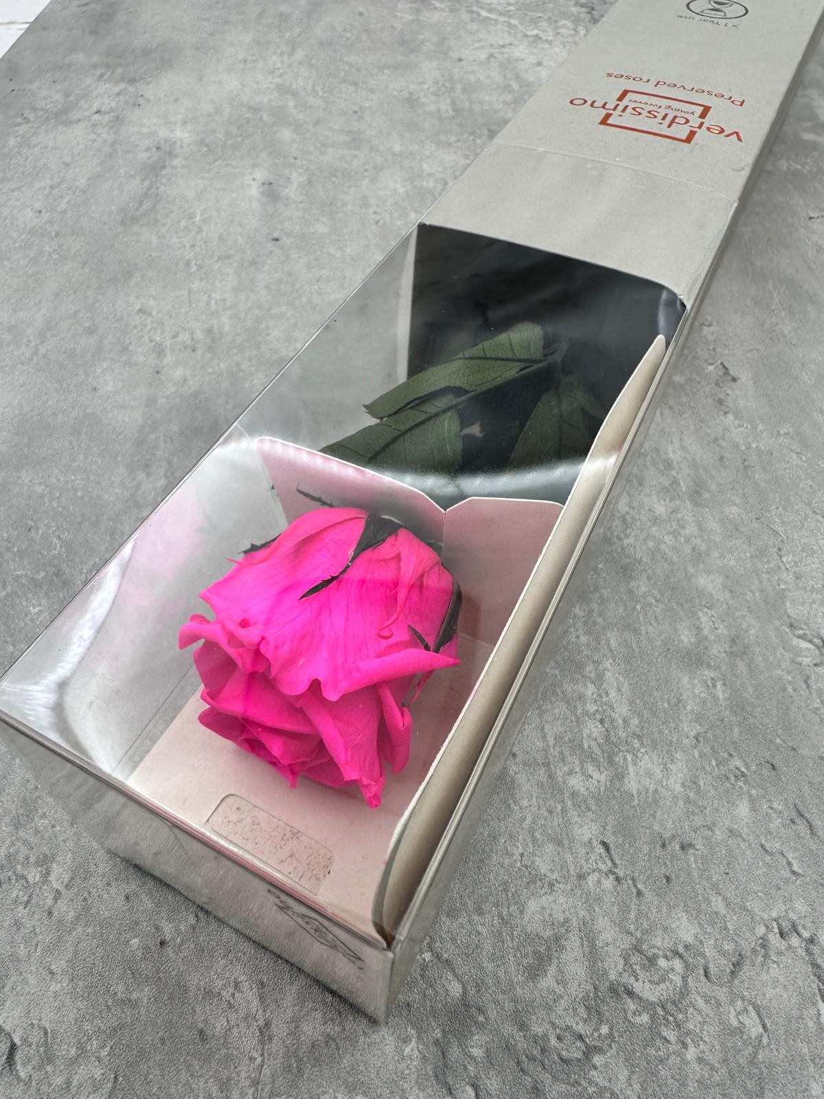 Rosas Press Verdissimo Fucsia