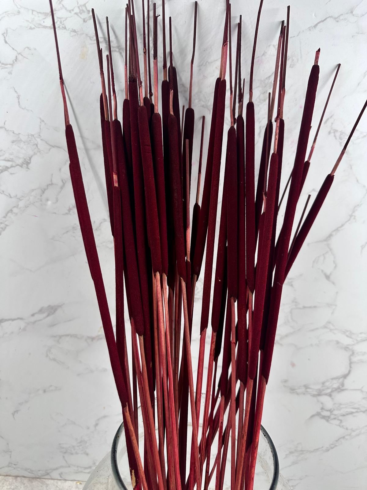 Typha Seca Mini Roja