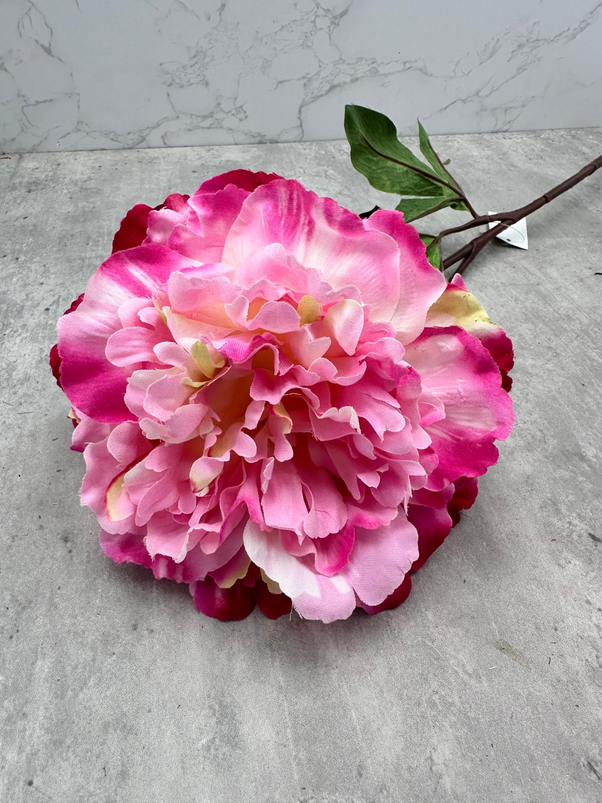 Vara Peonía Abierta Fucsia