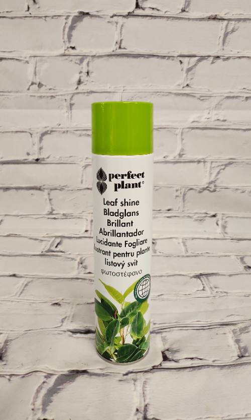 Abrillantador 600ml Perfect plant