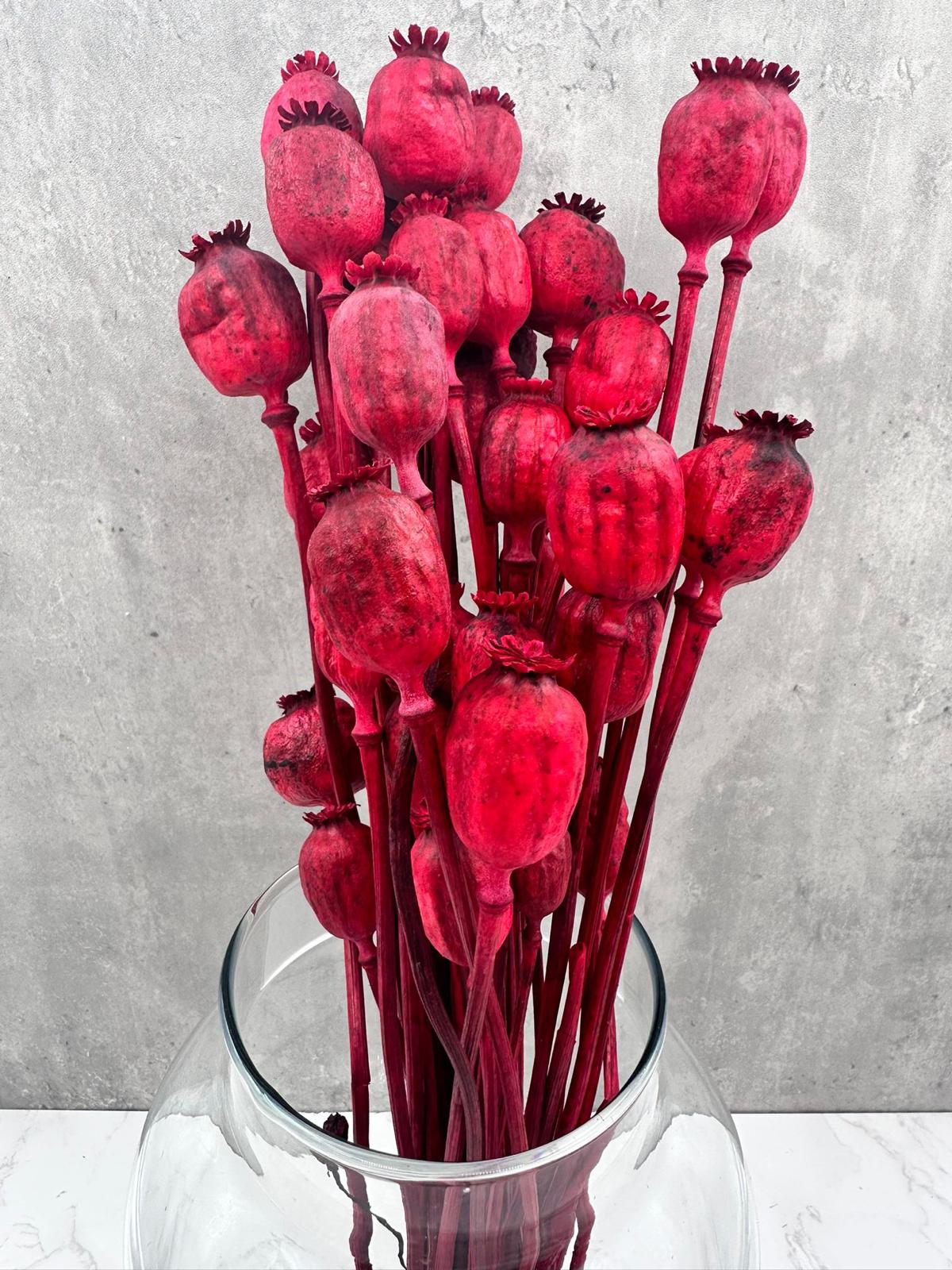 Papaver Press Rojo
