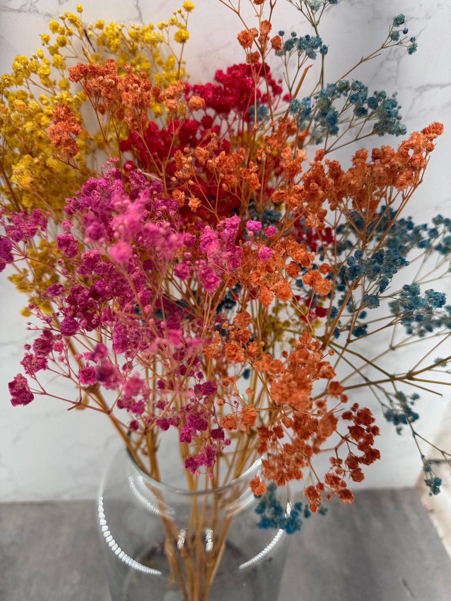 Gypsophila Press Arlequín