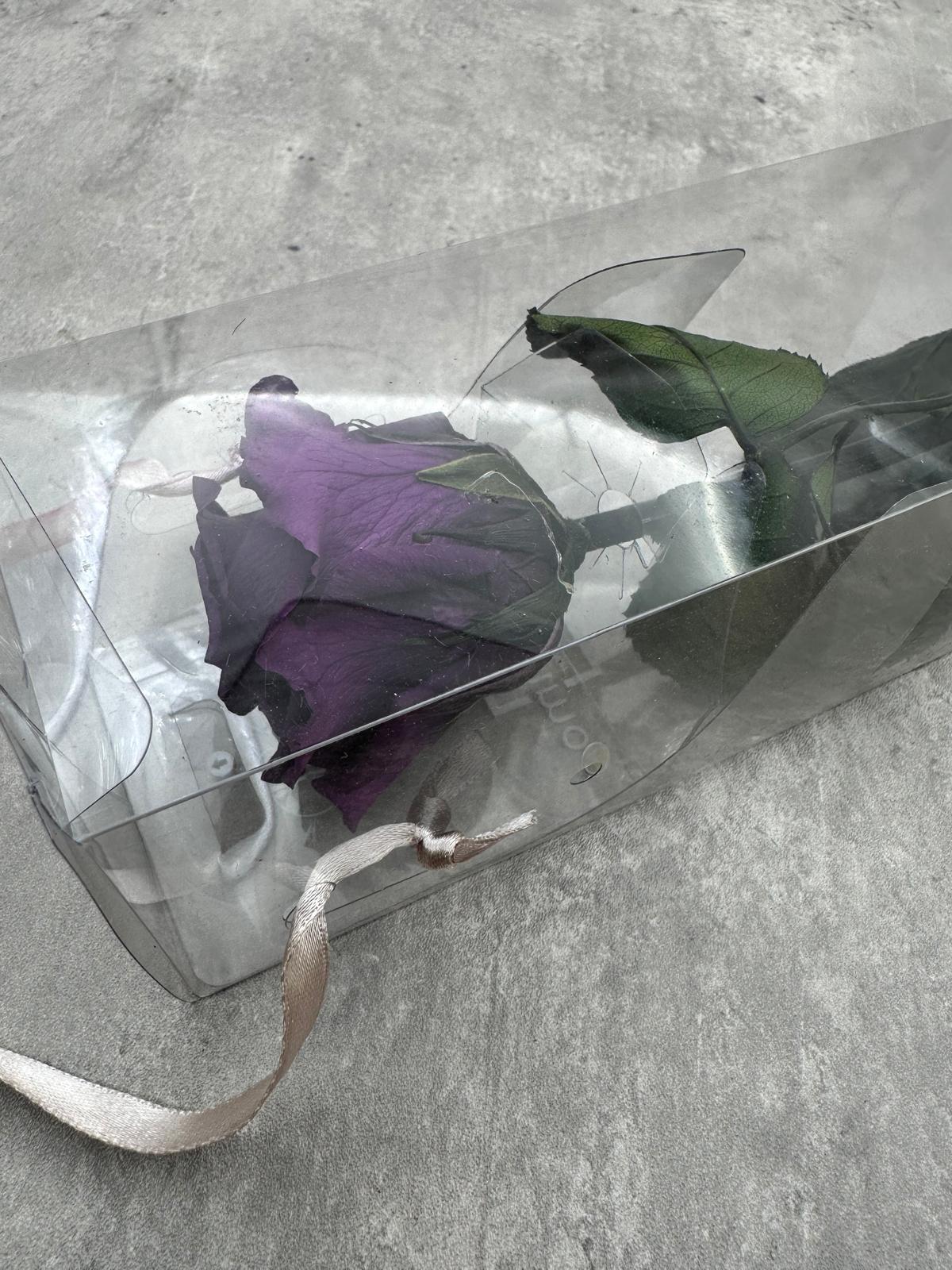 Rosas Press Verdissimo Morado Oscuro