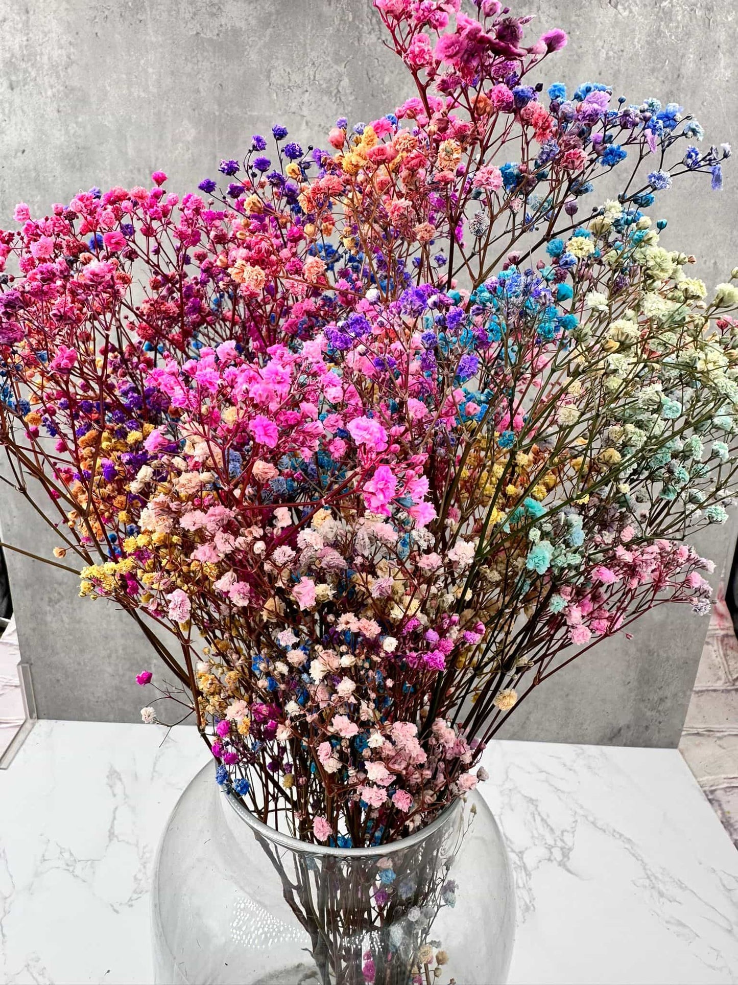 Gypsophila Paniculata Press Rainbow