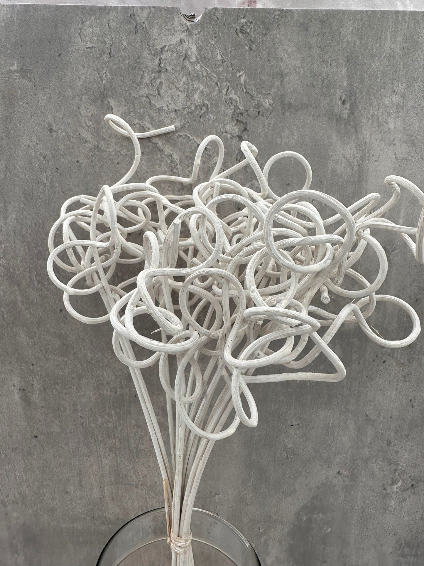 Twisted Ratán Blanco