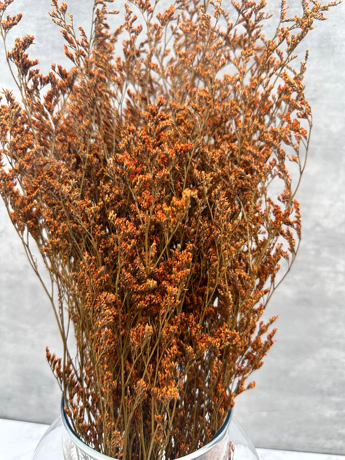 Caspia Naranja Press