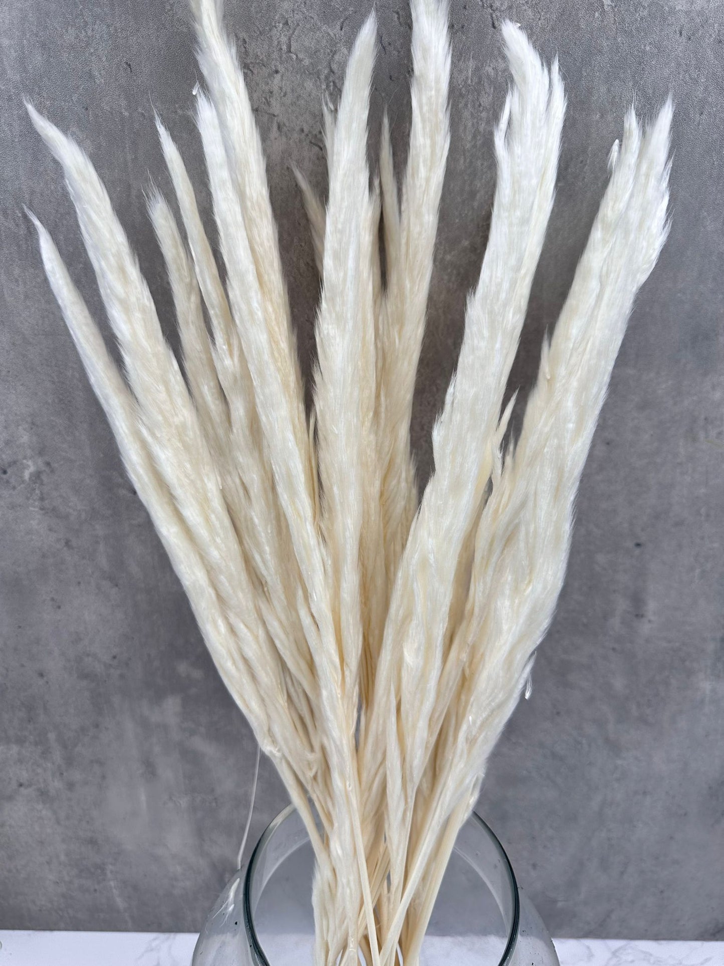 Pluma Decorativa Mini Blanca