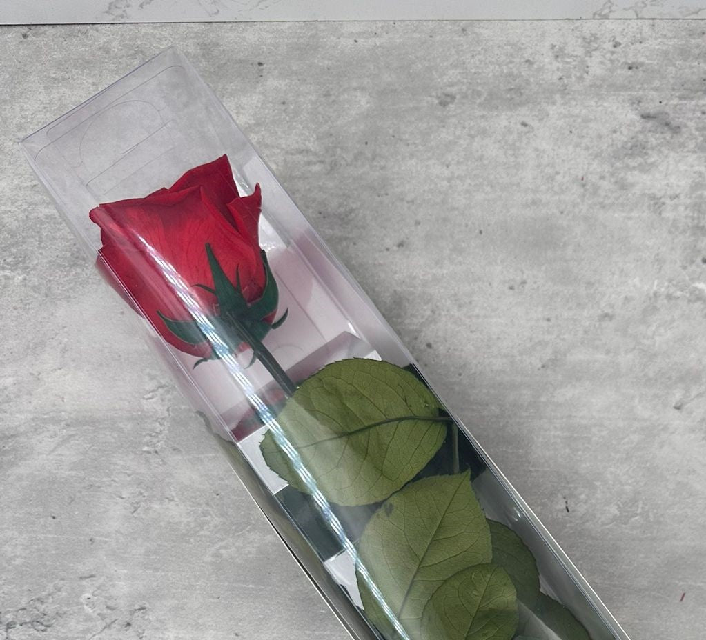 Rosas con tallo Kiara Roja 55cm