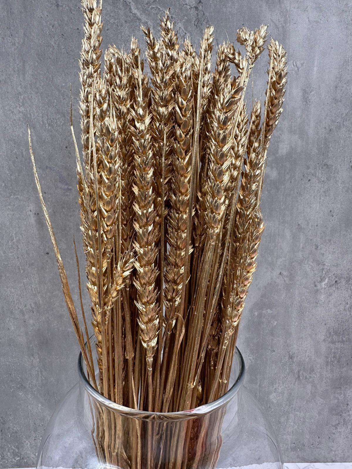Trigo Flo Oro