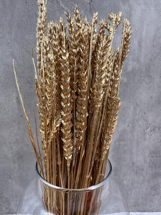 Trigo Flo Oro