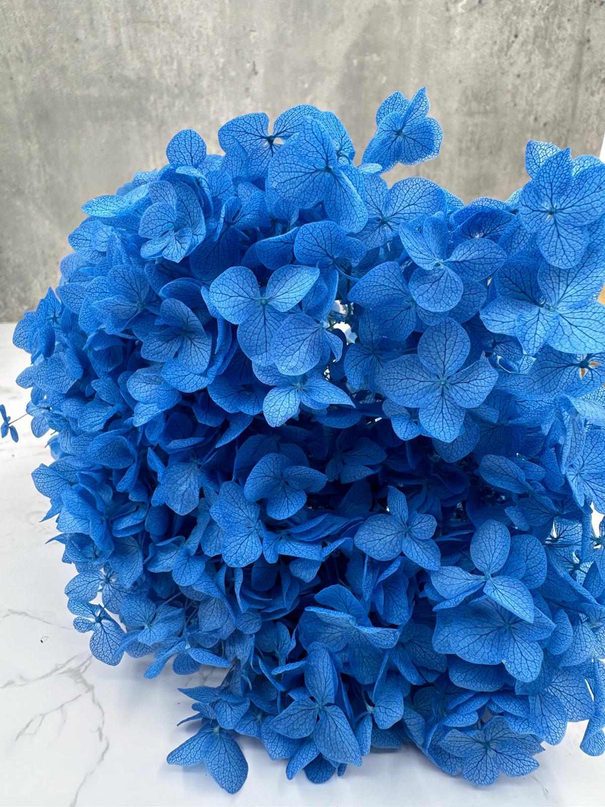 Hydrangea Cabeza Press Azul Oscuro