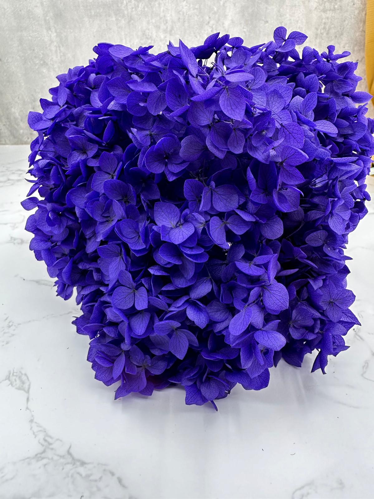 Hydrangea Cabeza Press Morado Oscuro