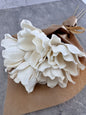 Bouquet 5 Magnolia de Sola