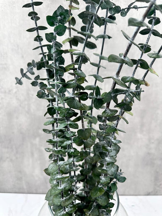 Eucalipto Baby Press Verde
