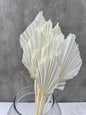 Palm Spear Blanco