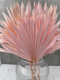 Palm Sun Rosa