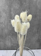 Cardo Mini Blanco