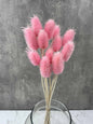 Cardo Mini Rosa