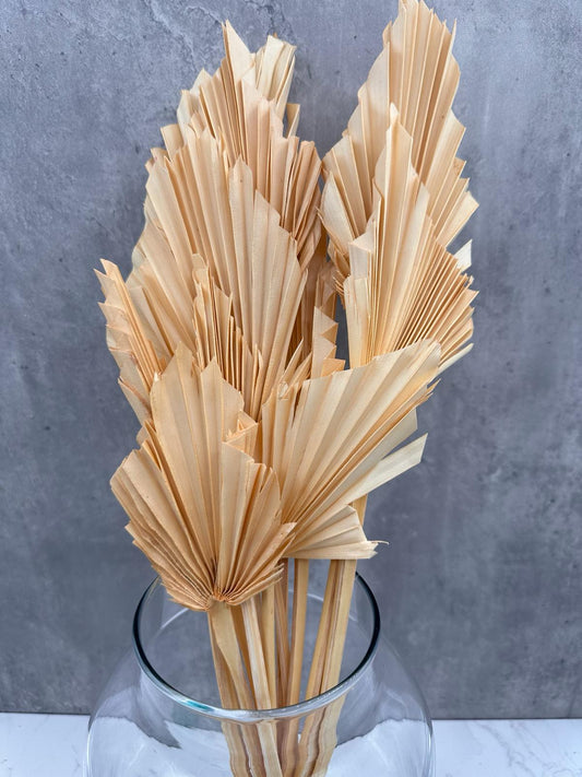 Palm Spear Salmón