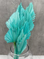 Palm Spear Celeste