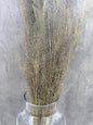 Agrostis Seco Natural