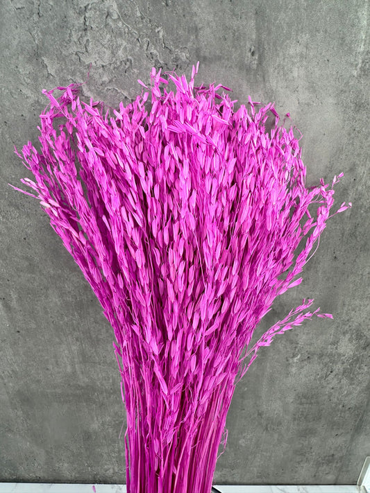 Oriza Press Fucsia