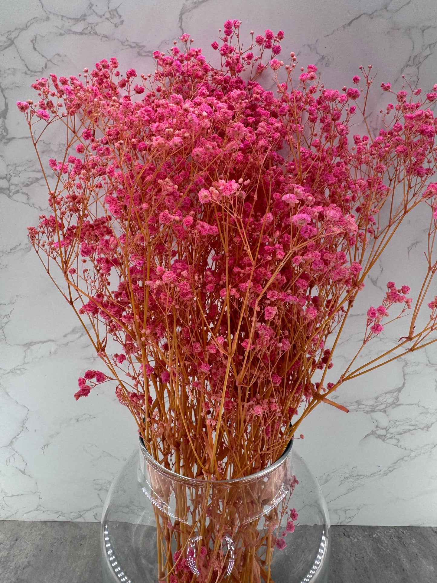 Gypsophila Press Rosa