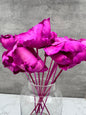 Palm Cup Morado