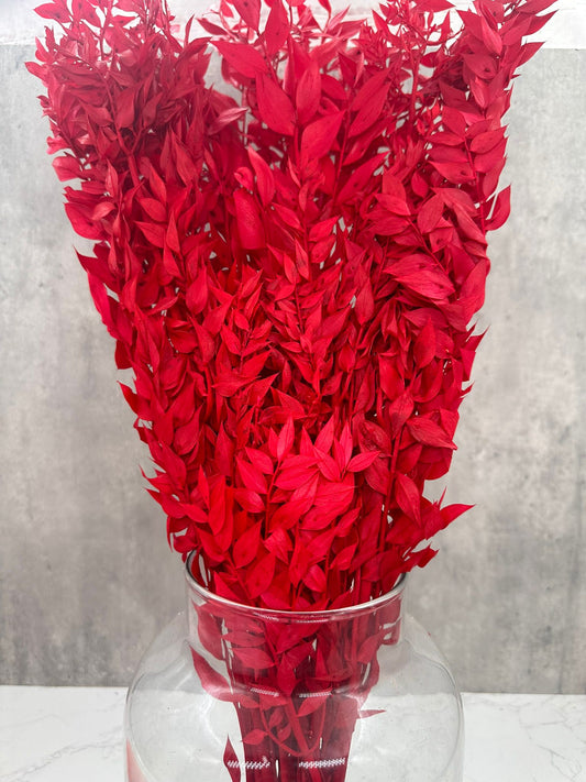 Ruscus Press Rojo