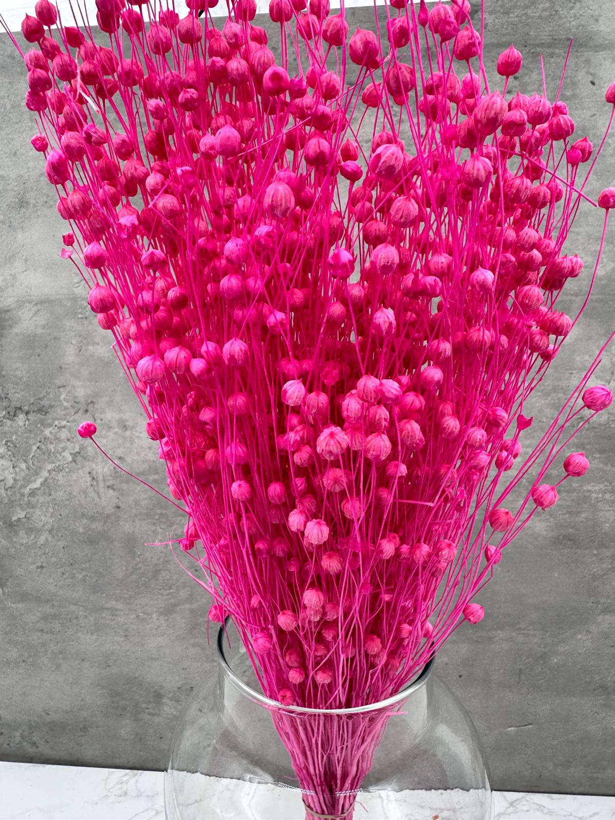 Lino Fucsia