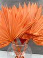 Palm Sun Naranja