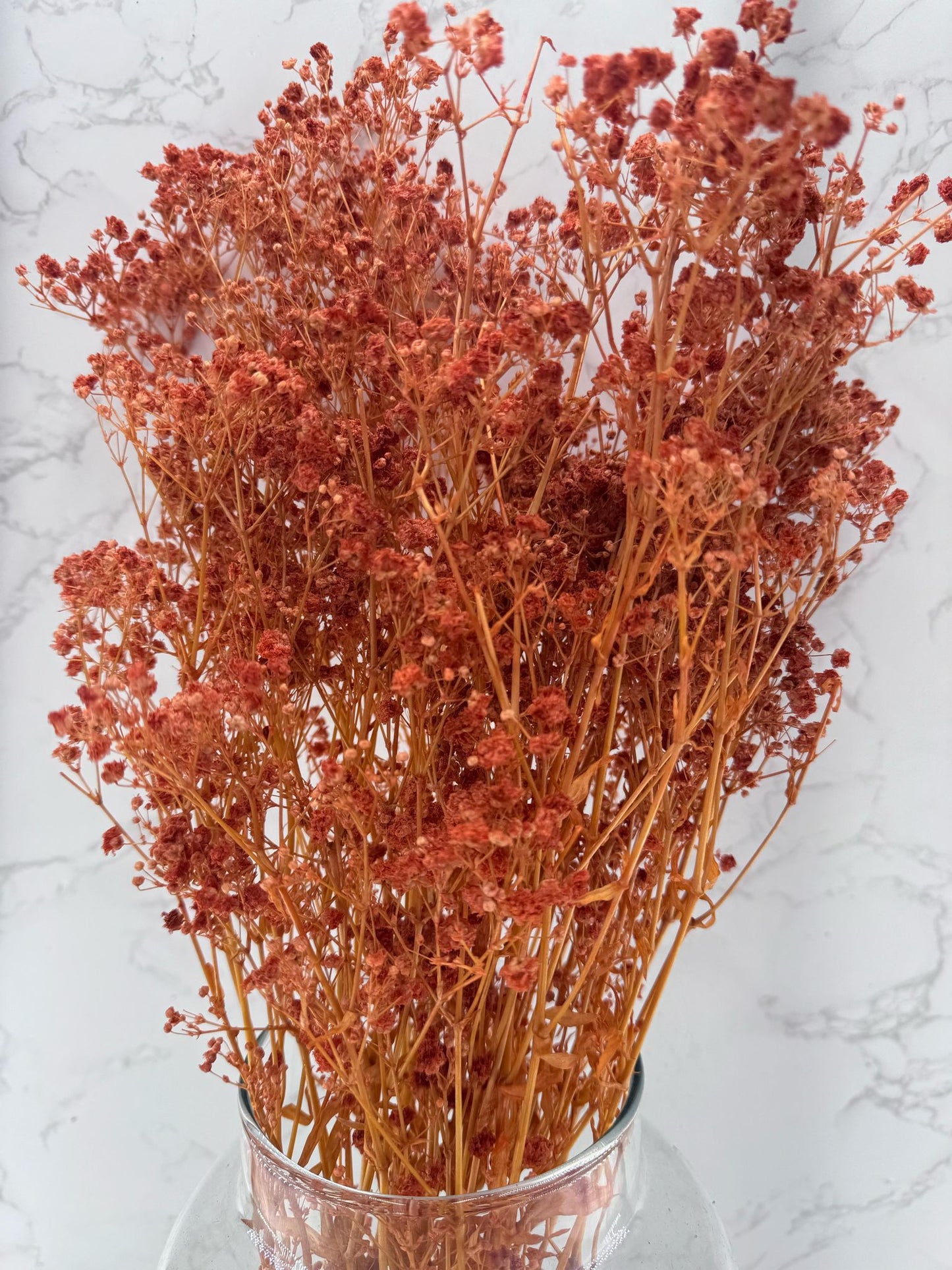 Gypsophila Press Naranja