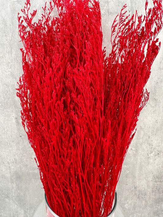 Caspia Roja Press