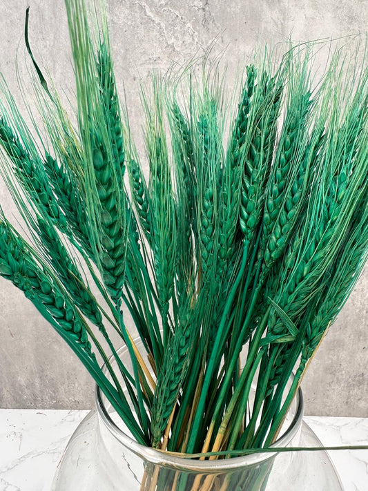 Trigo Raspa Verde