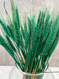 Trigo Raspa Verde