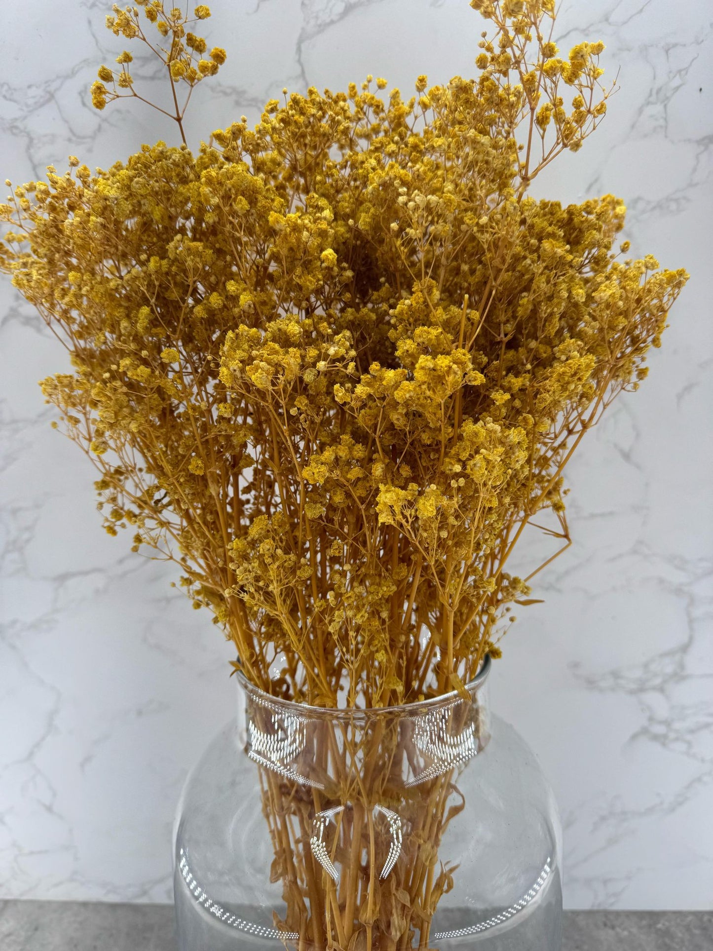 Gypsophila Press Amarilla