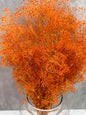 Gypsophila Mini Press Naranja