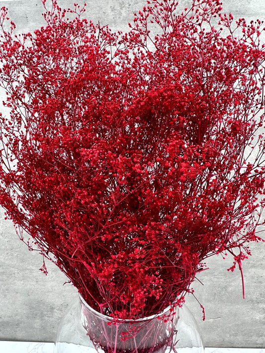 Gypsophila Mini Press Rojo