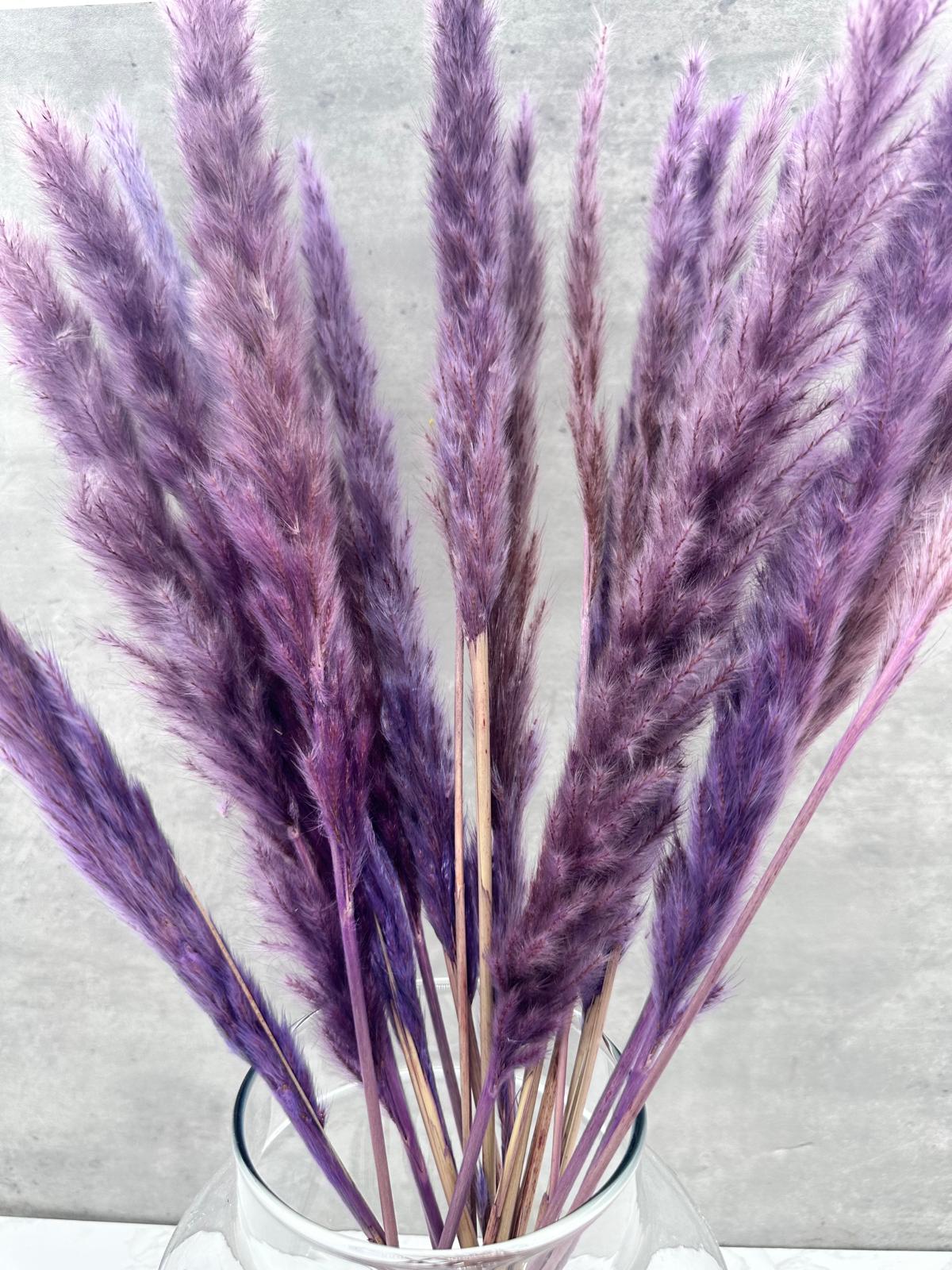 Pluma Decorativa Mini Lila