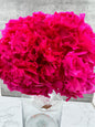 Hortensia Press Fucsia