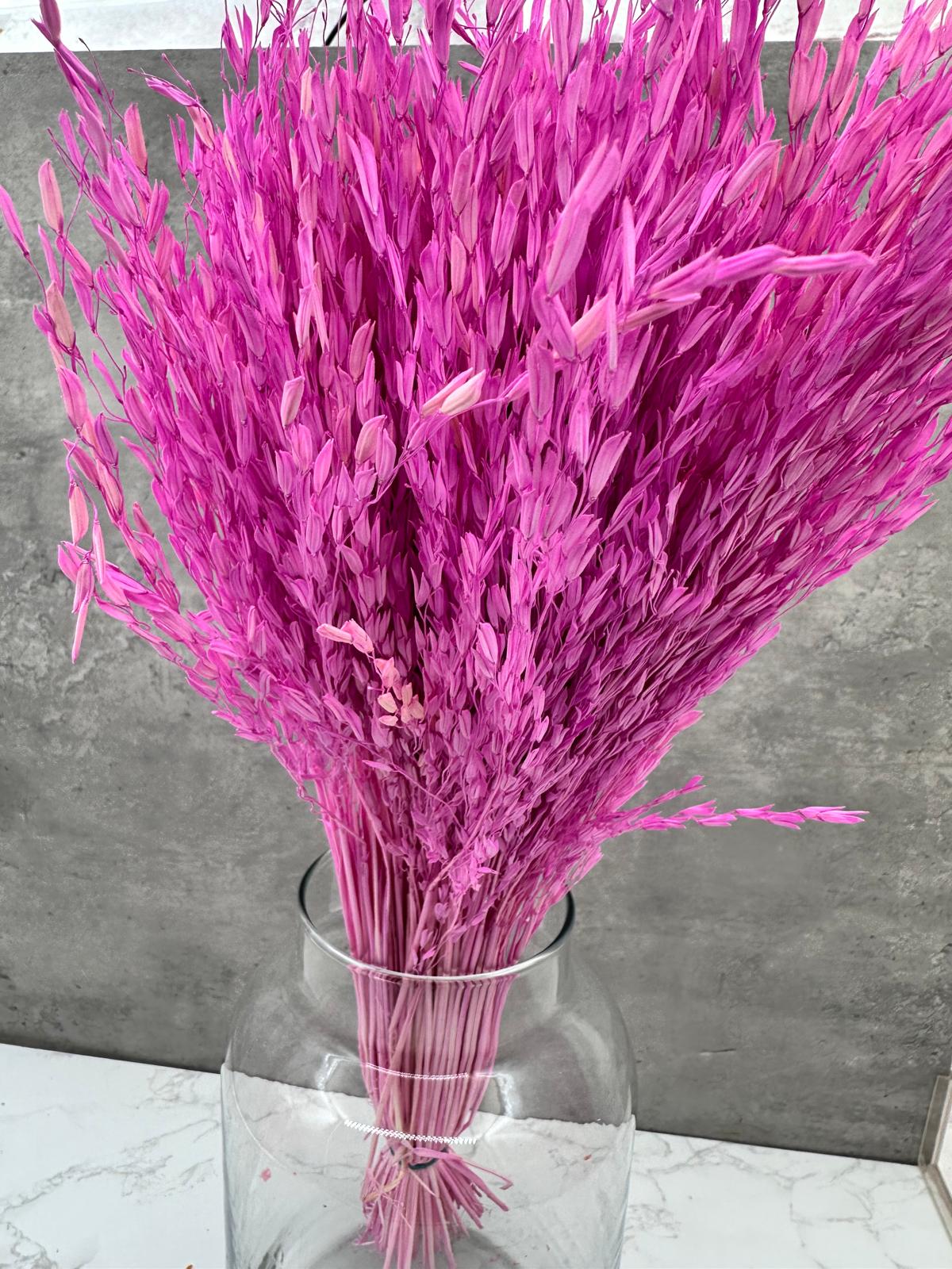 Ouro Press Lavanda