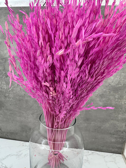 Ouro Press Lavanda