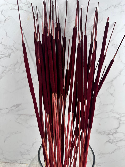 Typha Seca Mini Roja