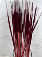 Typha Seca Mini Roja