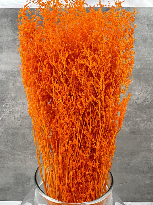 Caspia Naranja Blanqueada Press